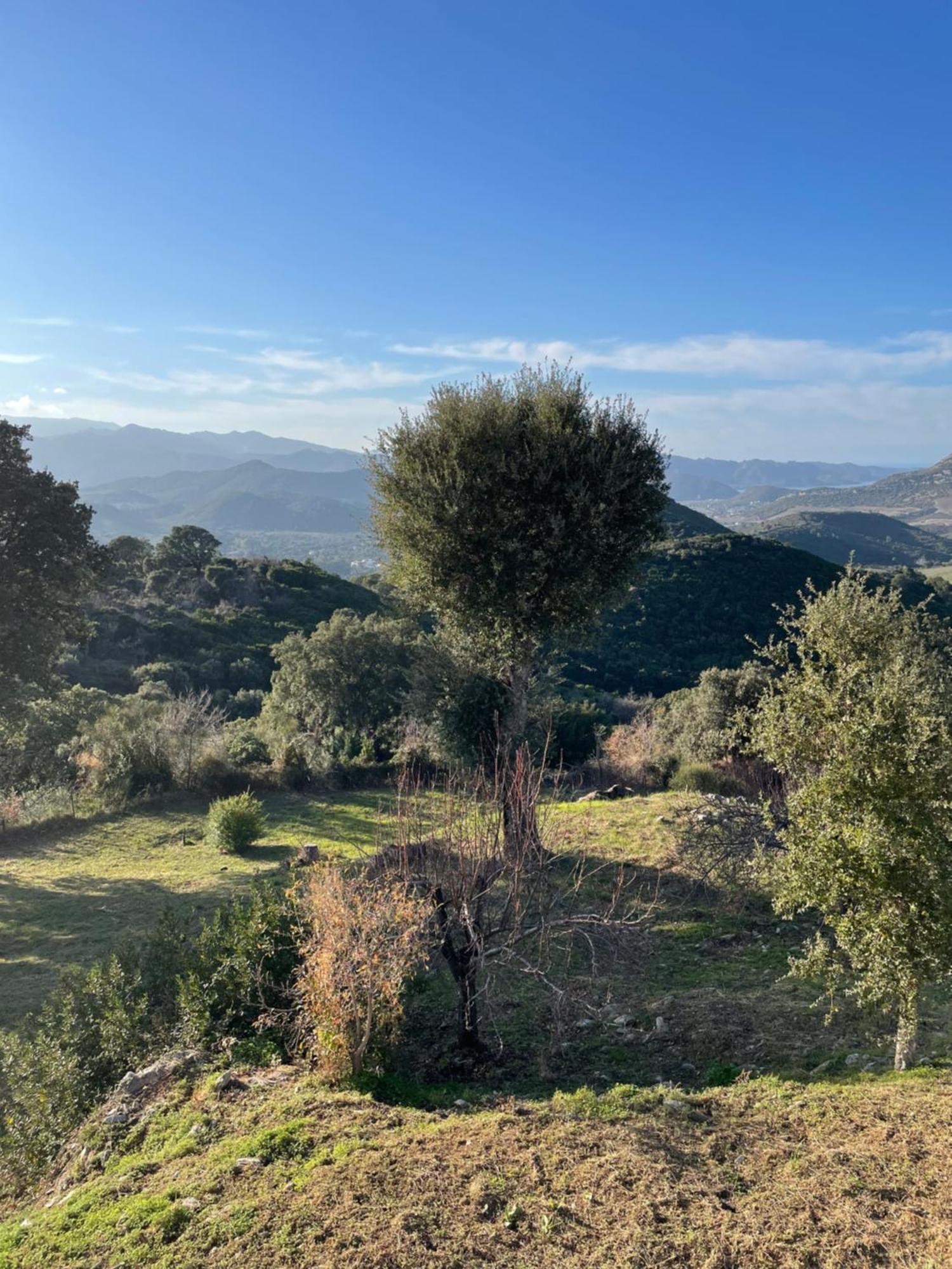 Casa Di Cajucan Poggio-d'Oletta Exteriér fotografie