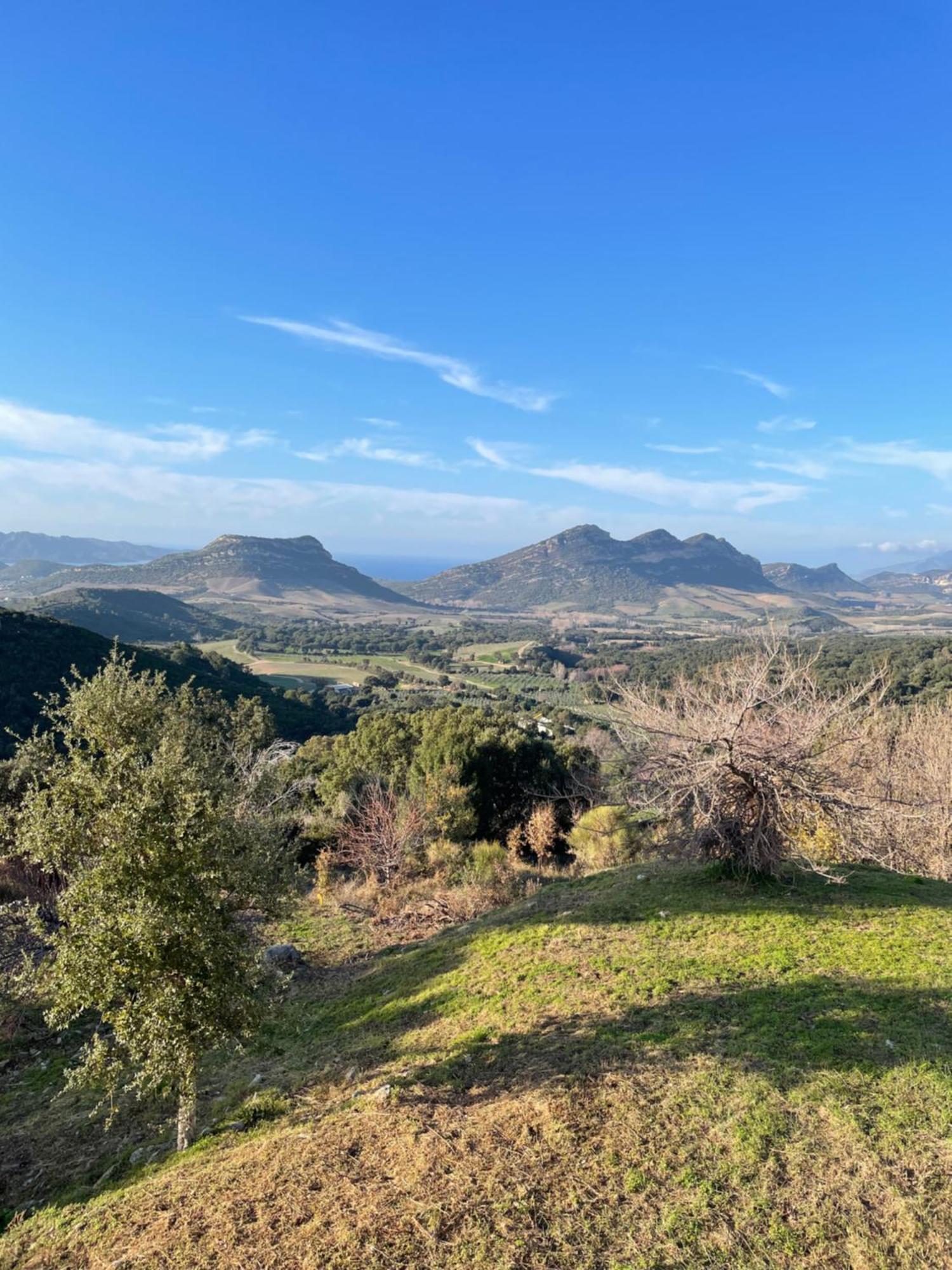 Casa Di Cajucan Poggio-d'Oletta Exteriér fotografie